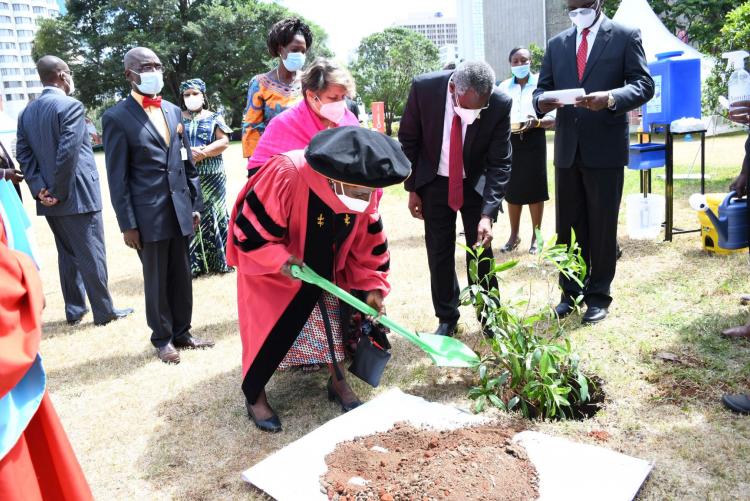 Chair of Council Prof Julia Ojiambo plants a tree during UoN@50 celebration
