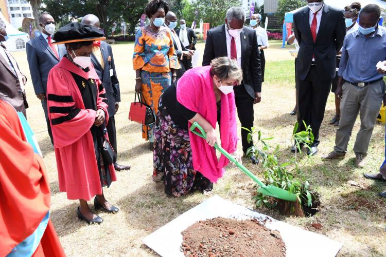 Chancellor Dr Vijoo Rattansi plants a tree during UoN@50 celebrations