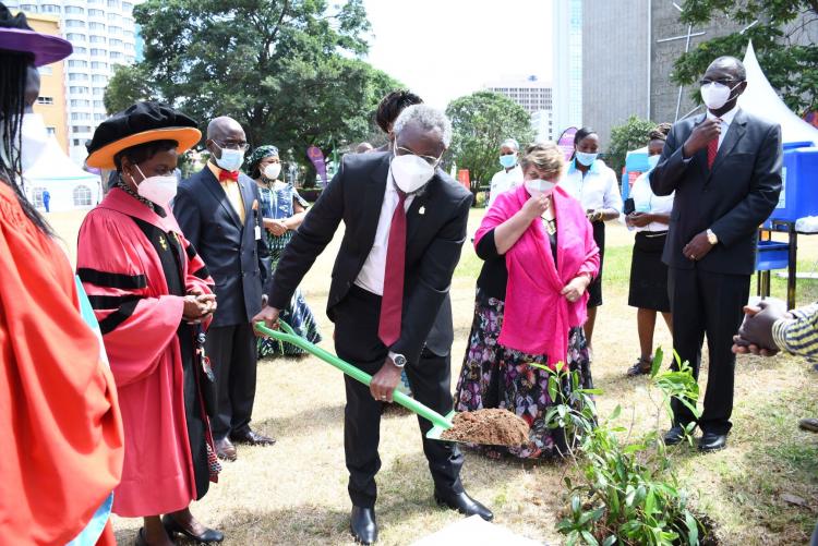 VC Prof Stephen Kiama plants a tree during the UoN@50 celebrations