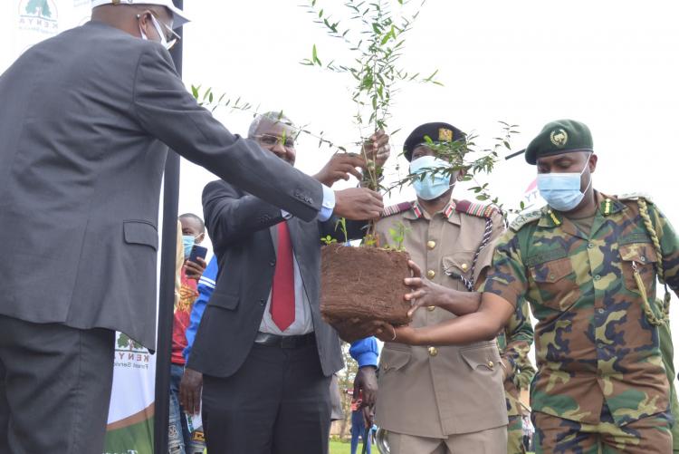 Key dignitaries at the tree planting ceremony at Wangari Maathai Institute