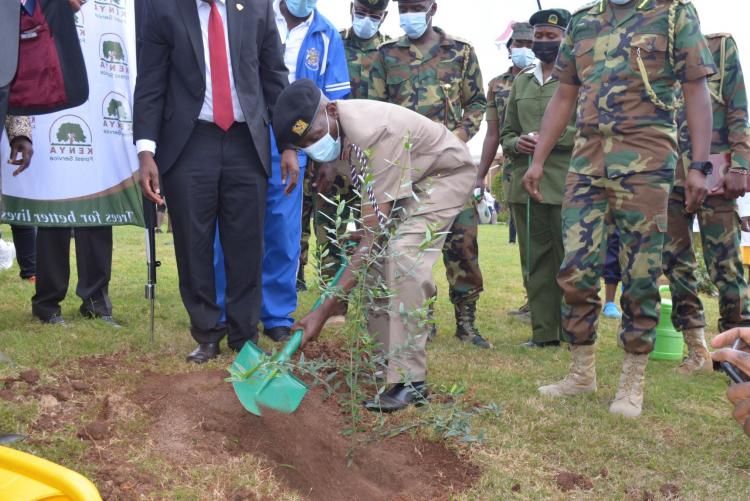 Mr Waweru, Representative of Nairobi County Commissioner plants a tree