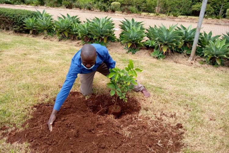 University of Nairobi ICT staff participate in the tree planting ceremony