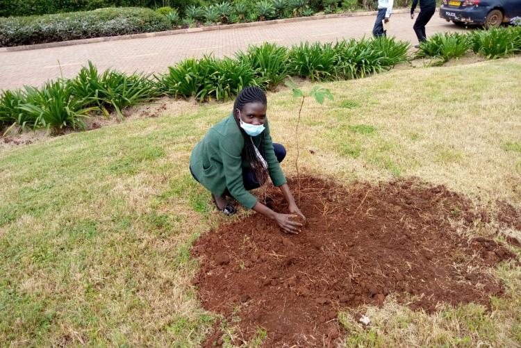 University of Nairobi staff participate in the tree planting ceremony