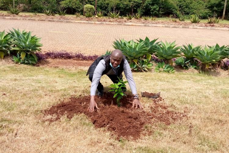 UoN Advancement staff participates in the tree planting ceremony