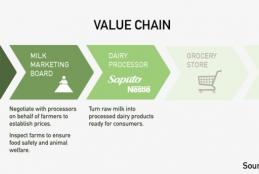 Dairy value chain