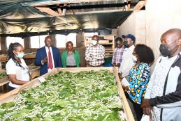 Director Advancement and other members of staff tour silk farming